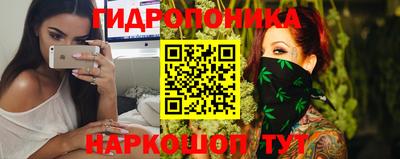 мяу мяу мука Гатчина