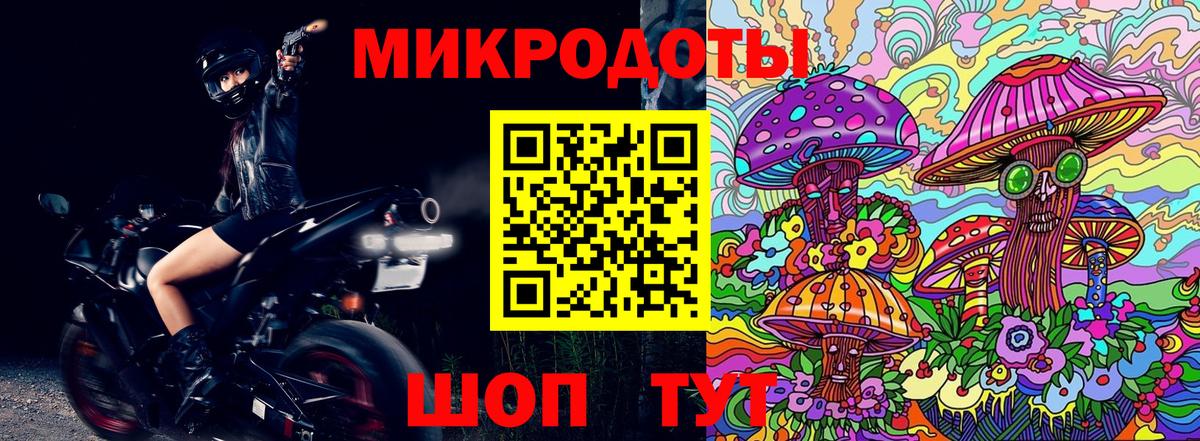 Галлюциногенные грибы Psilocybine cubensis Мурманск